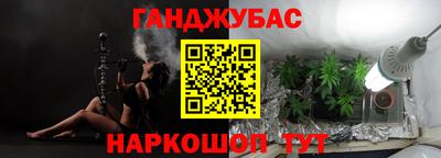 крисы Тулун