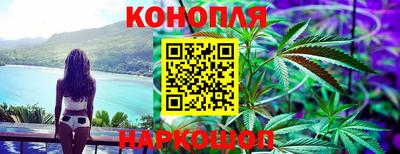 крисы Тулун