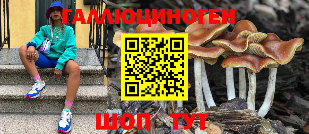 Галлюциногенные грибы мицелий  Вход с VPN  Набережные Челны 